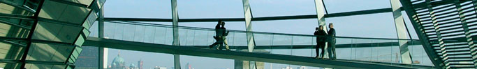 Network Management IT
